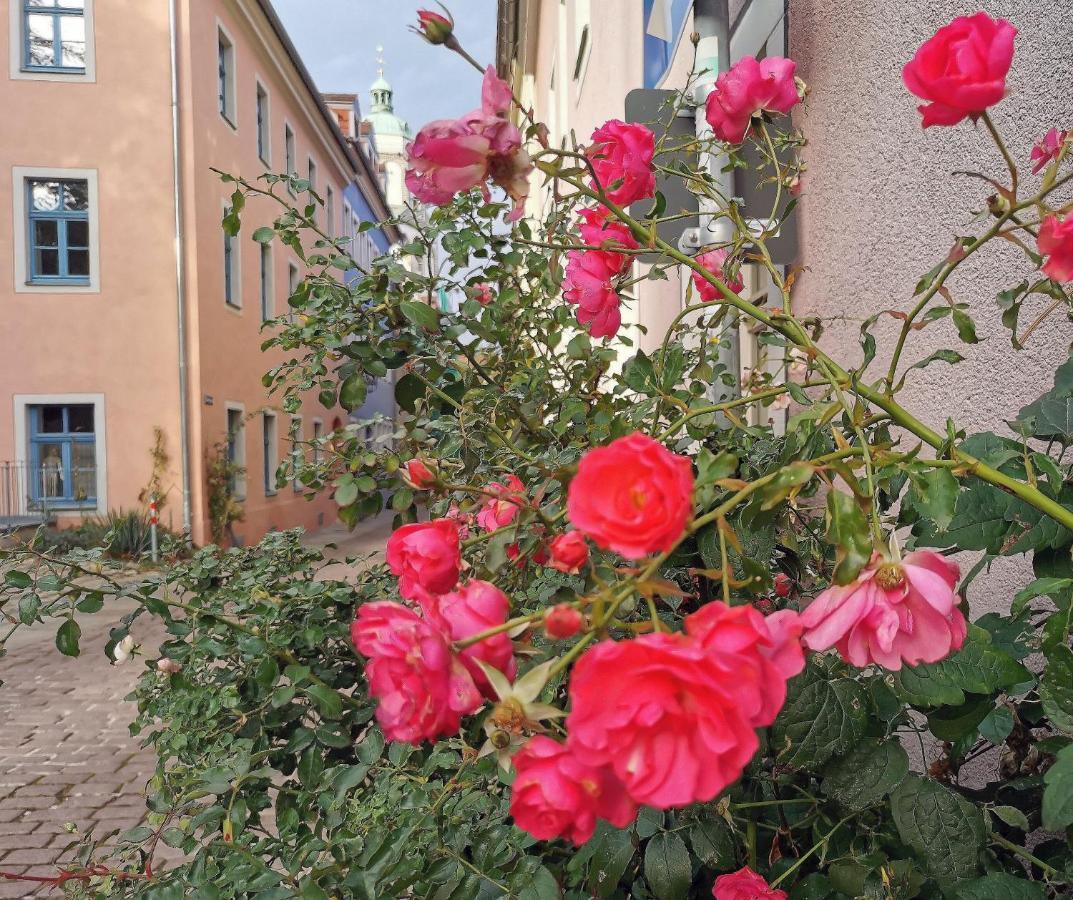 Fynbos Apartments In Der Altstadt, Frauenkirche, Historisch, Parkplatz Мейсен Экстерьер фото